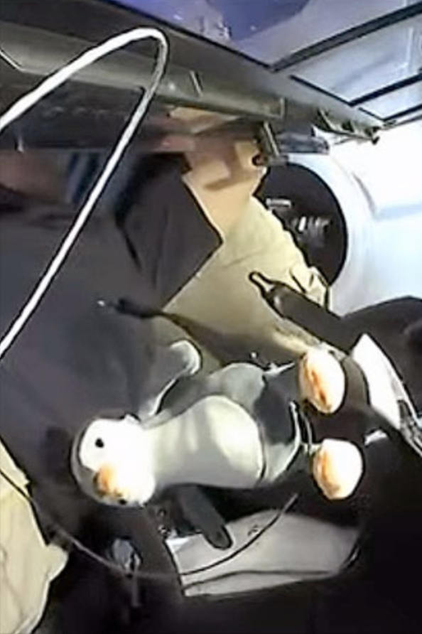 GuinGuin plush penguin floating inside the spacecraft cabin